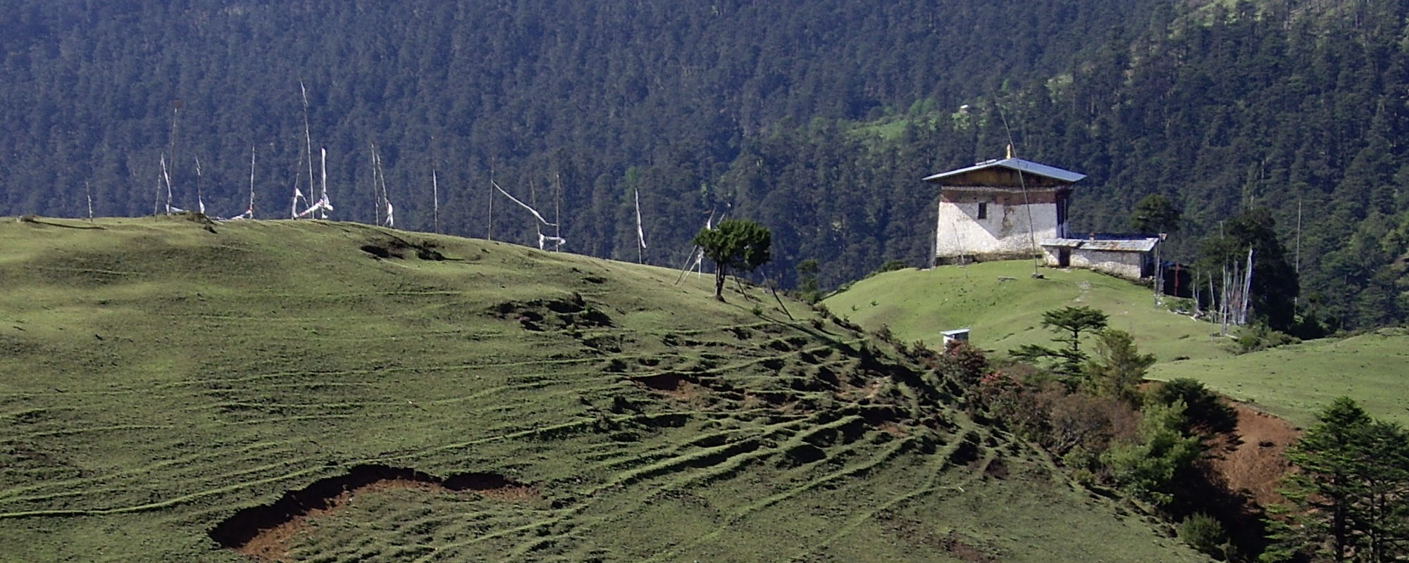 THE EXCITING JILI DZONG TREK FROM PARO VALLEY